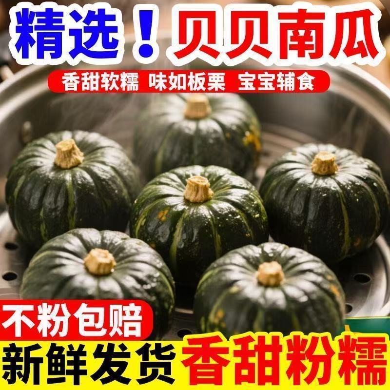 正品贝贝商超电商团购一件代发批发