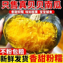 正品贝贝商超电商团购一件代发批发