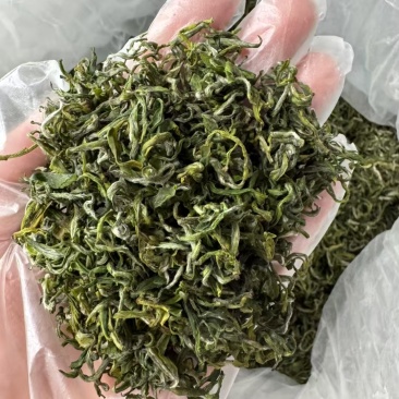 山东诸城绿茶红茶