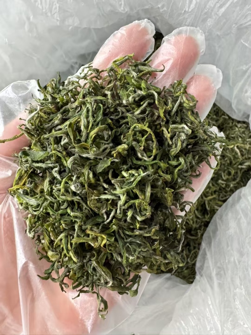 山东诸城绿茶红茶