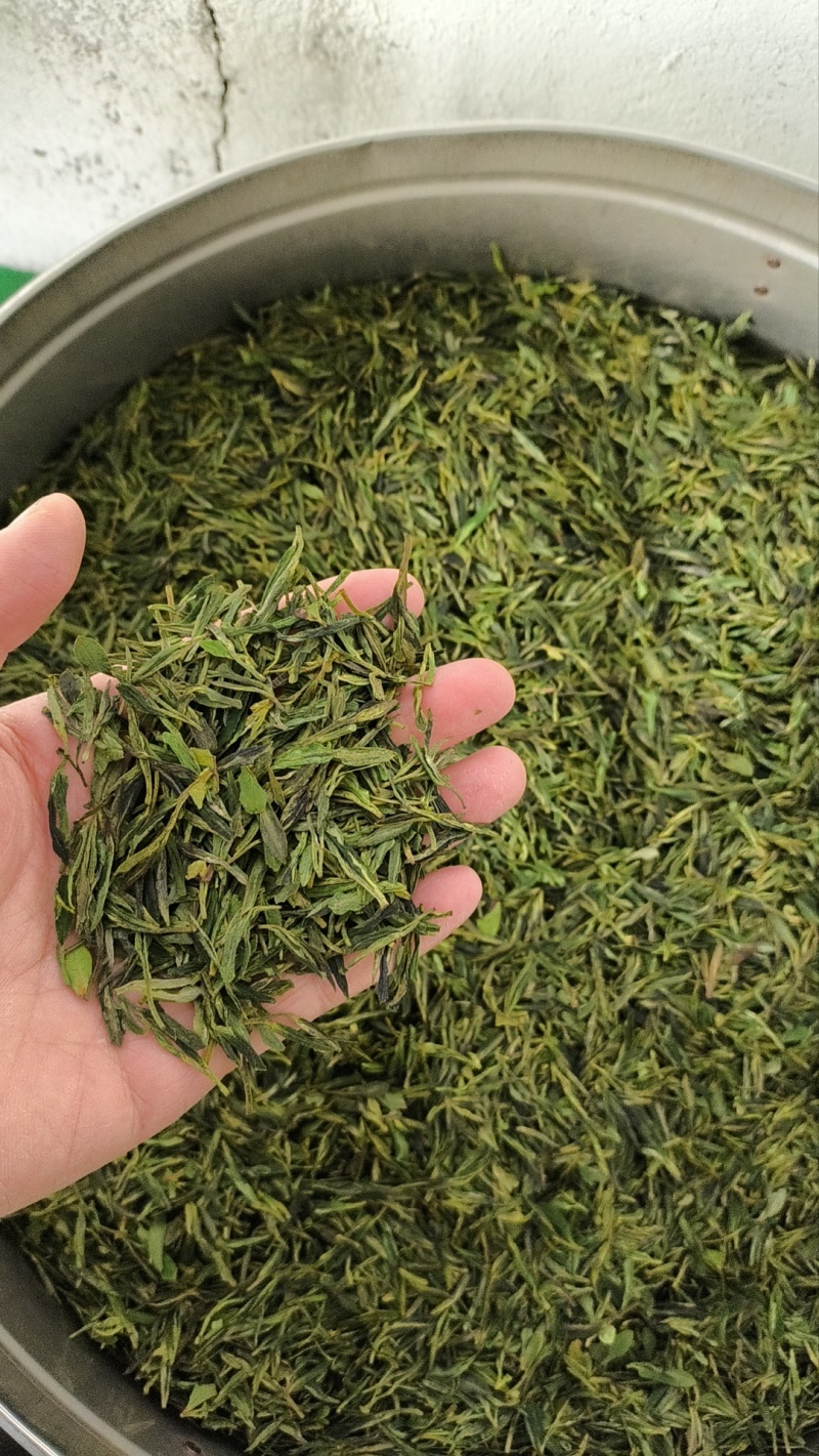 山东诸城绿茶红茶