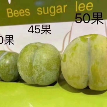 蜂糖李