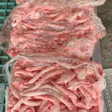 肥猪心管