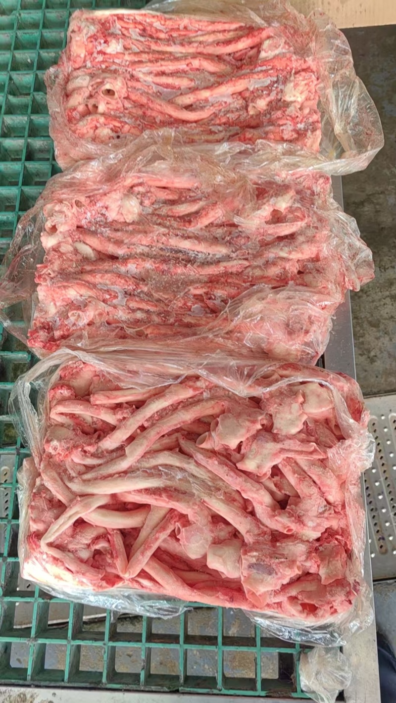 肥猪心管