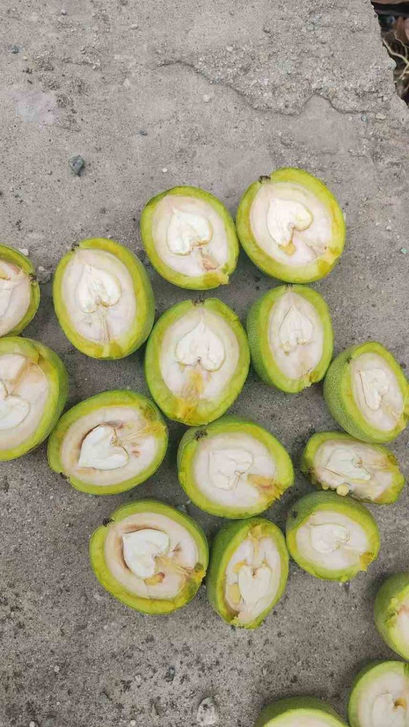 青皮核桃特大风皮儿薄果仁大价格优惠