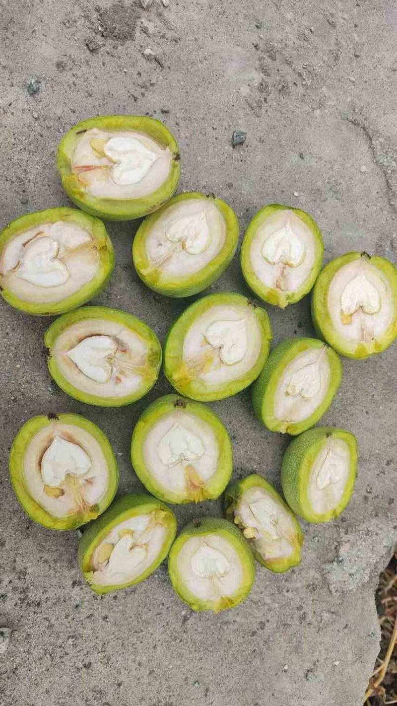 青皮核桃特大风皮儿薄果仁大价格优惠