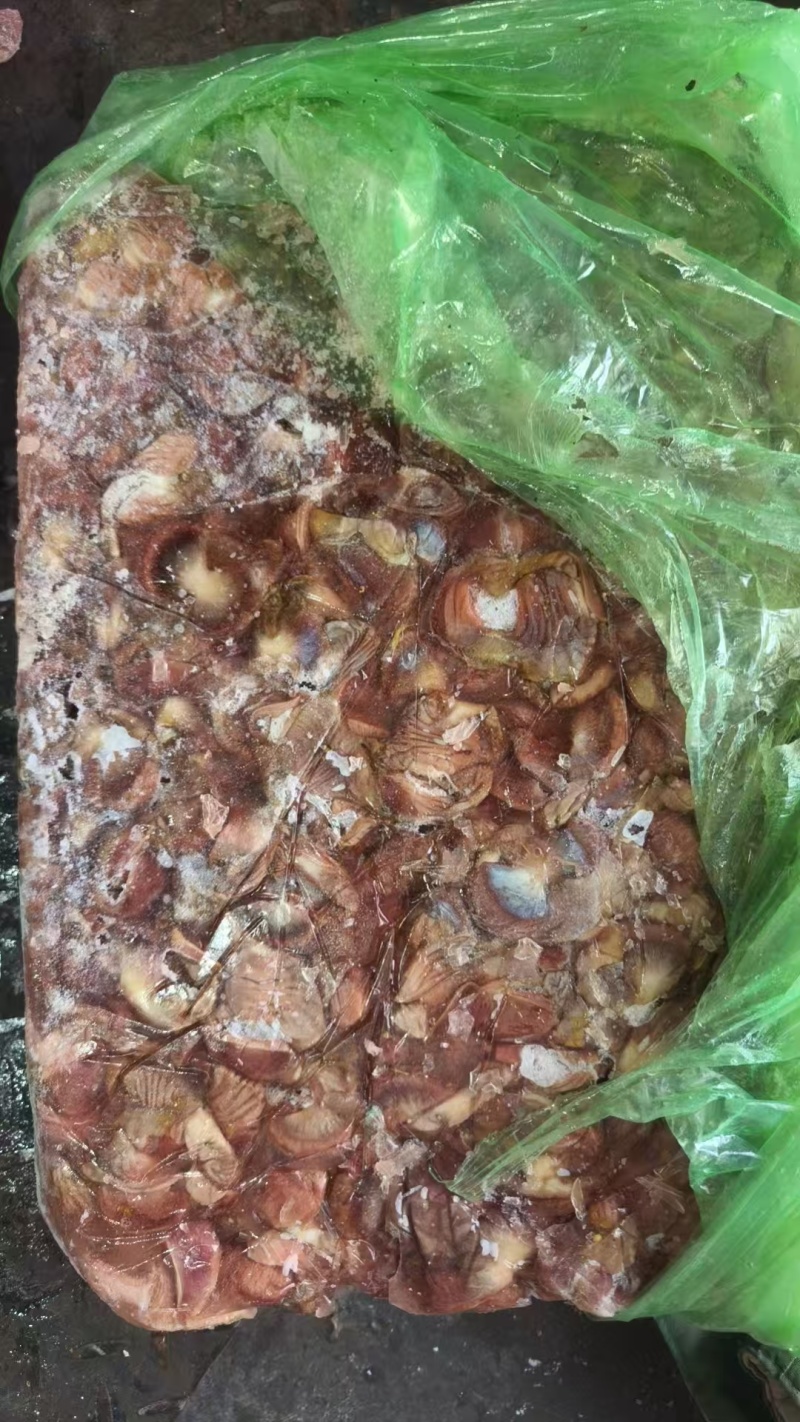 老母鸡胗3吨