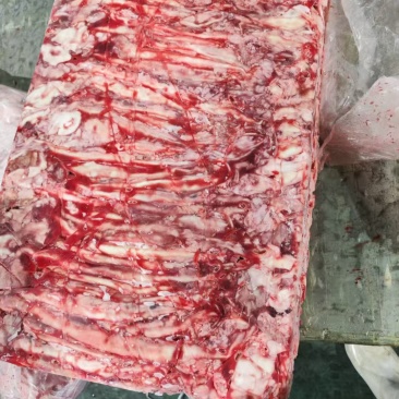 肥猪心管1量/根3万根