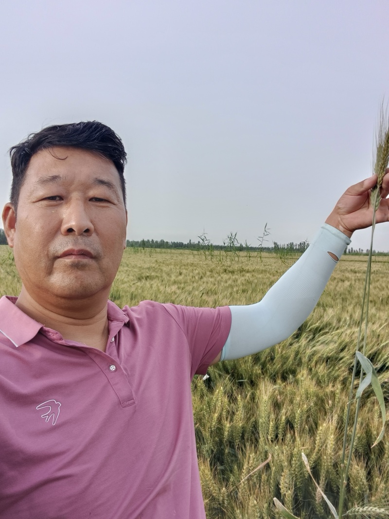 小麦