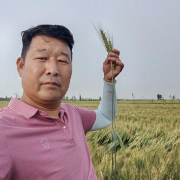 小麦