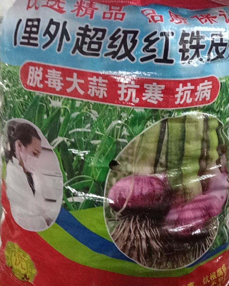 金乡马集正宗太空蒜种，