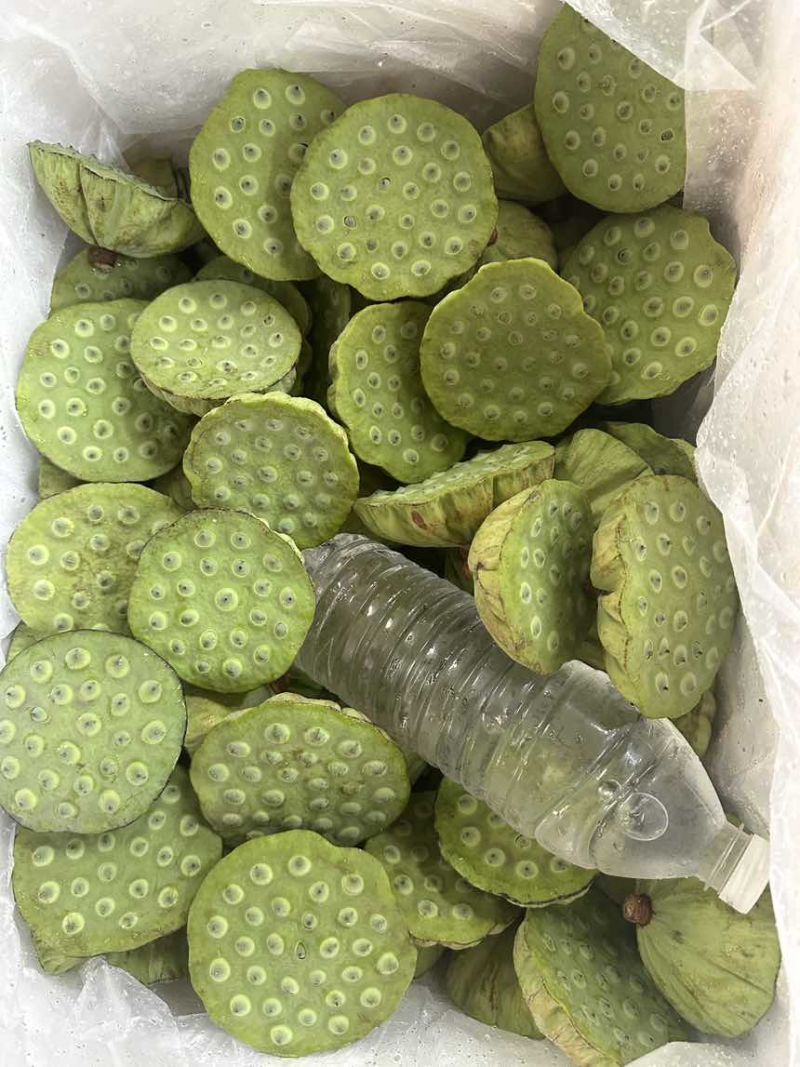 莲蓬