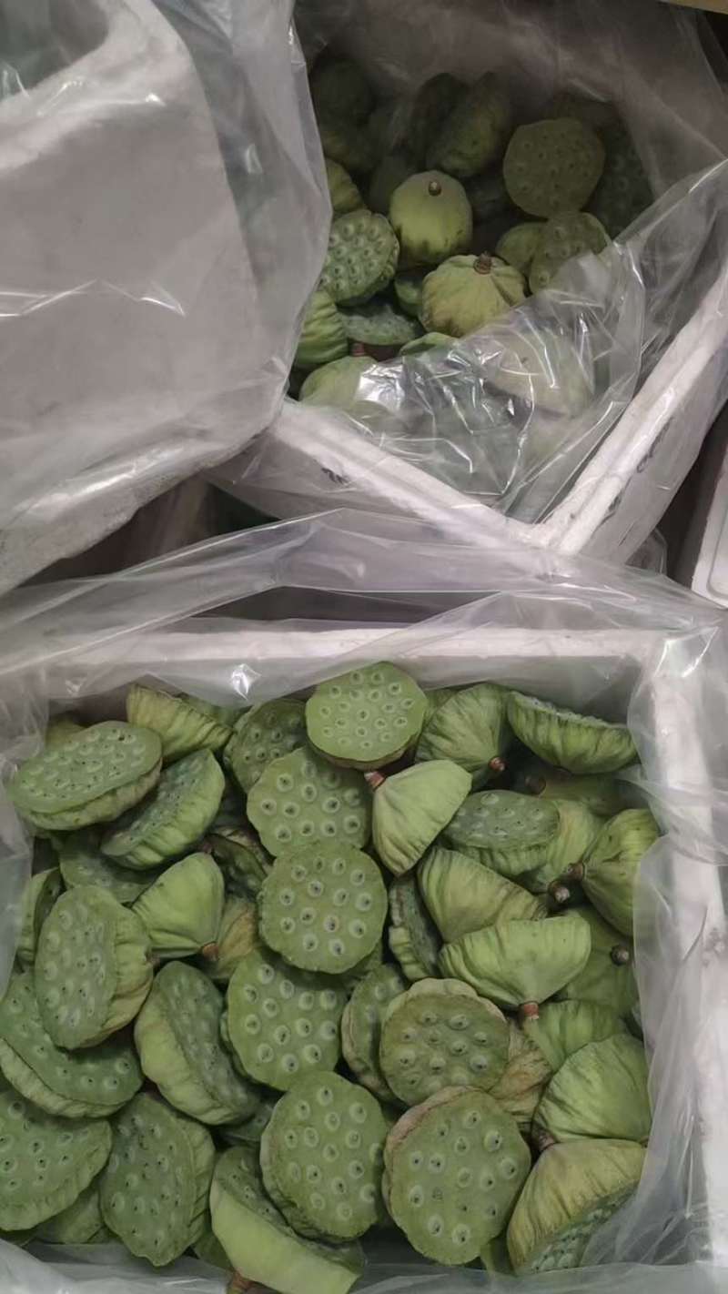 莲蓬