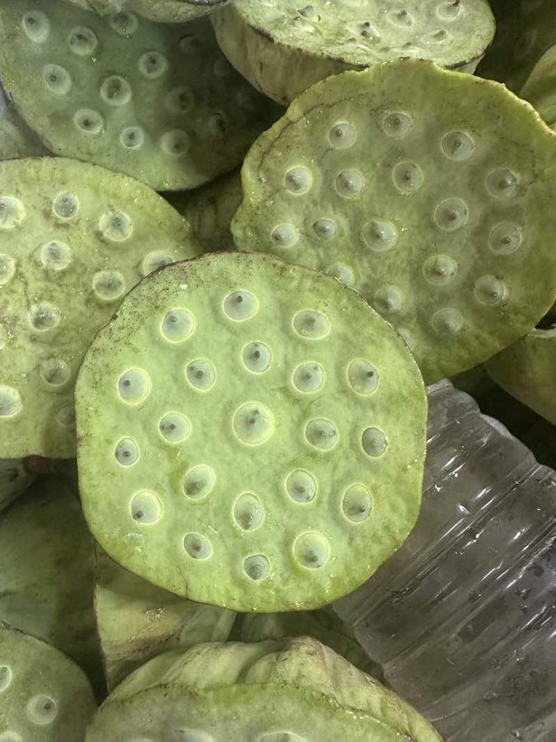 莲蓬
