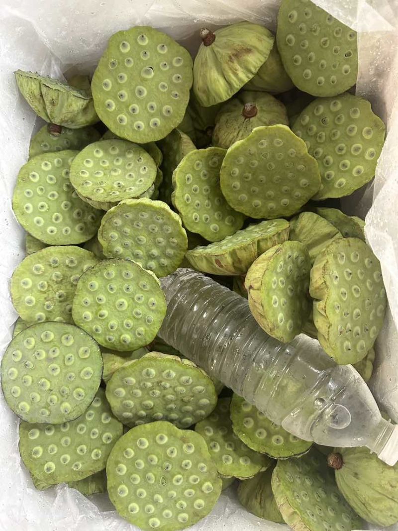 莲蓬