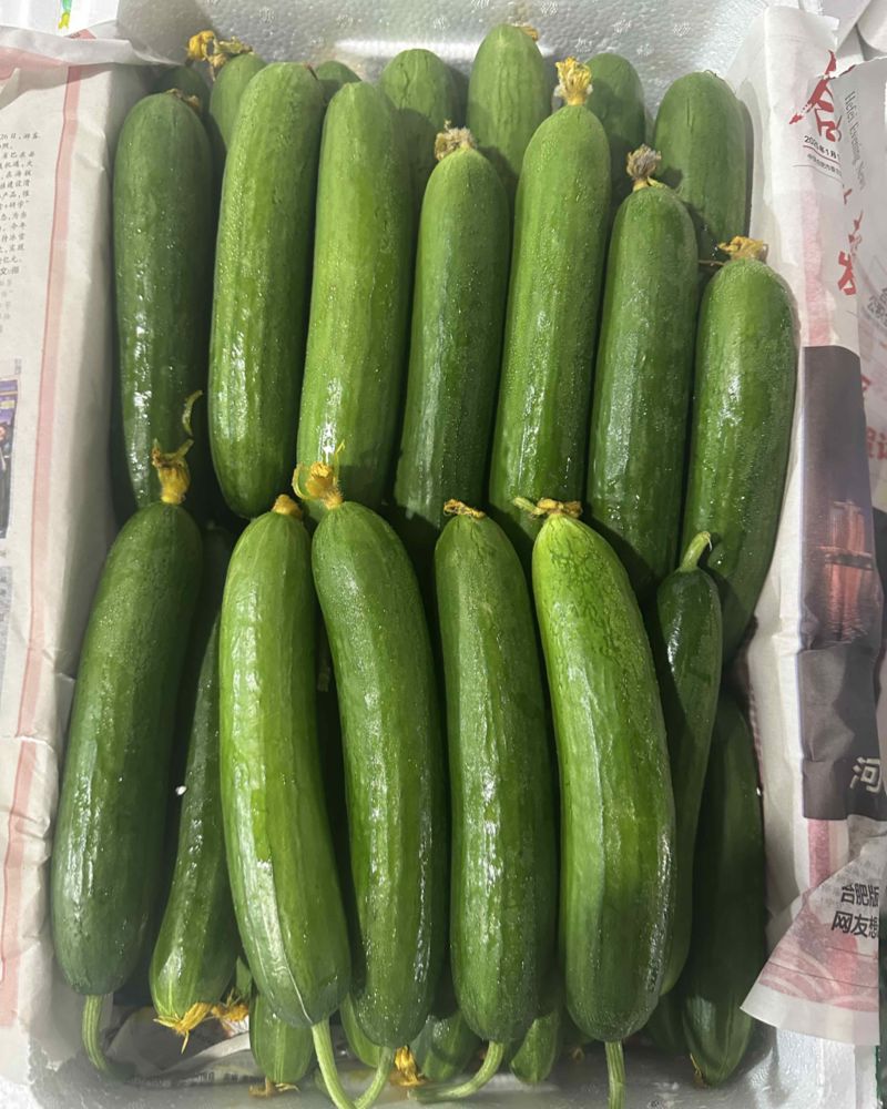 小青瓜