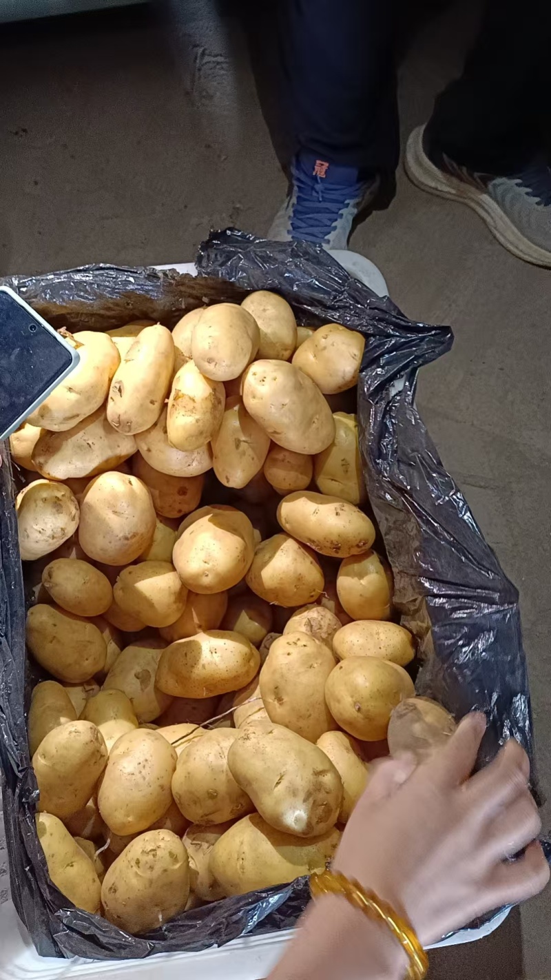 新鲜土豆上市超市商超一级品