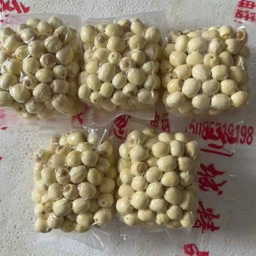 鲜莲子