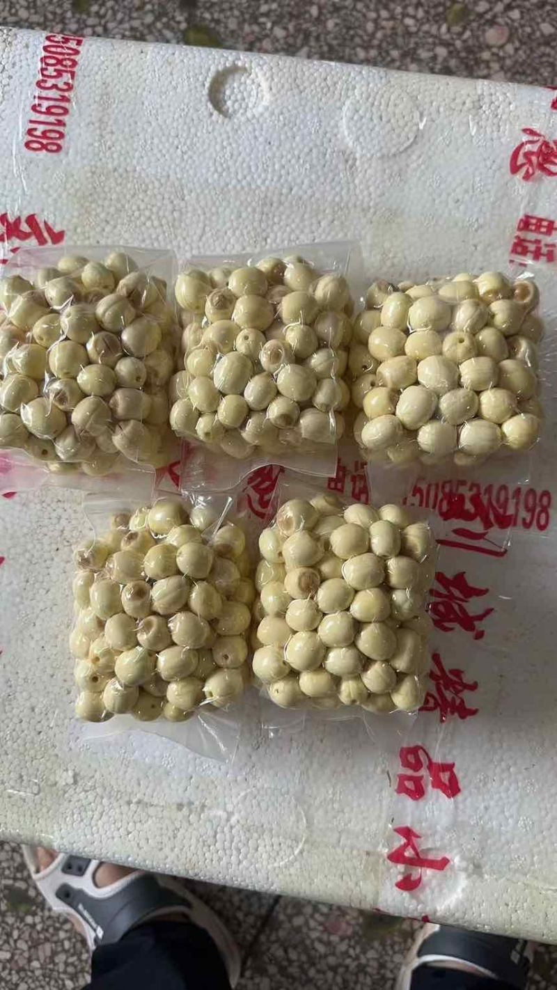 鲜莲子