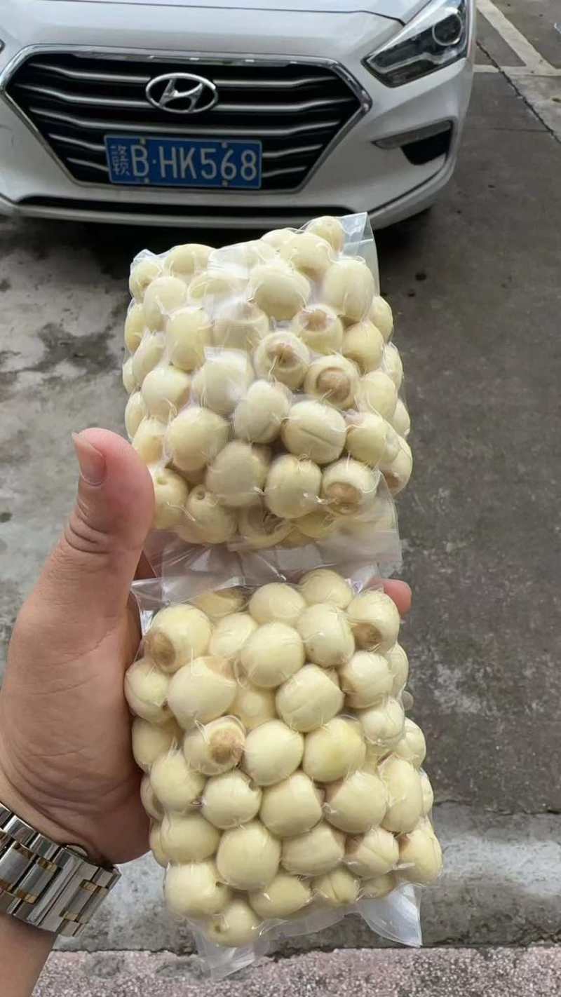 鲜莲子