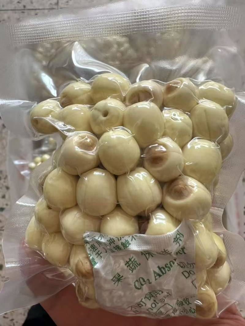 鲜莲子