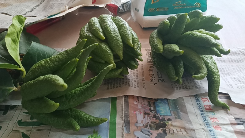 佛手