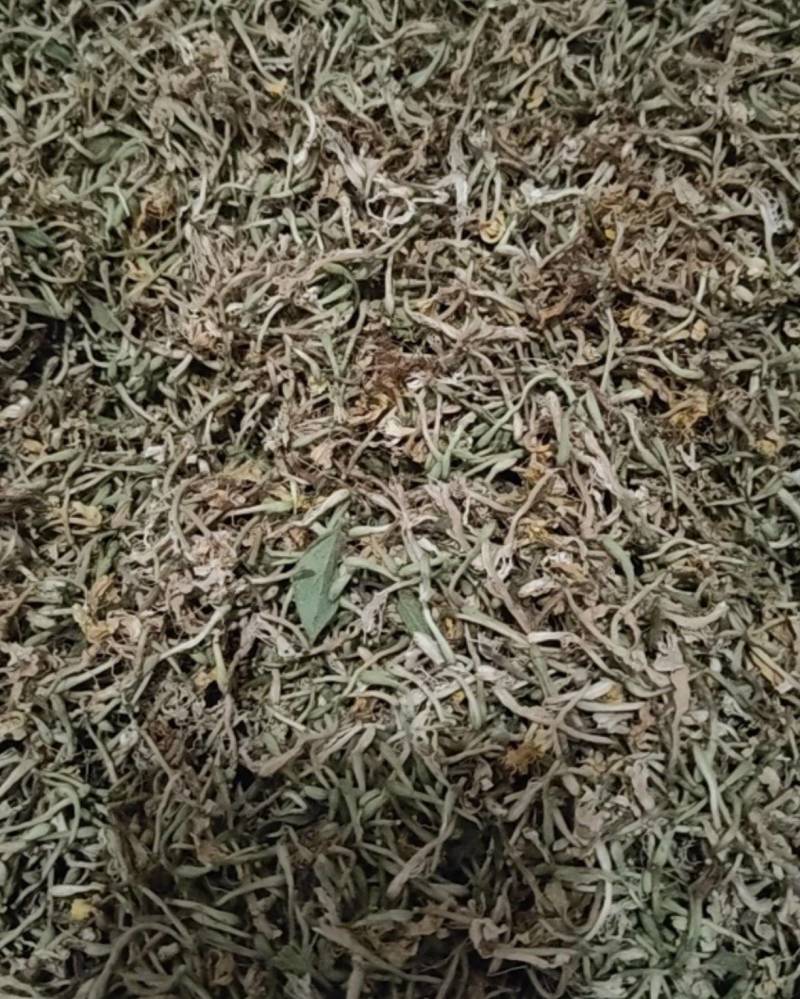 金银花