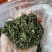 日照绿茶