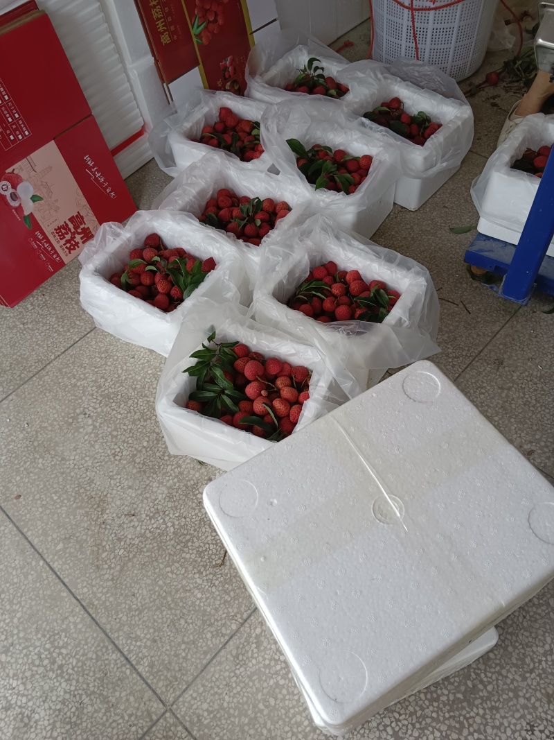 一件代发