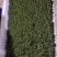 四川九叶青花椒