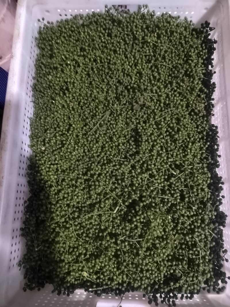 四川九叶青花椒