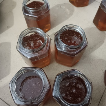 蜂蜜，龙眼蜜，荔枝蜜，冬糖冬蜜，保真，先验货，后付款