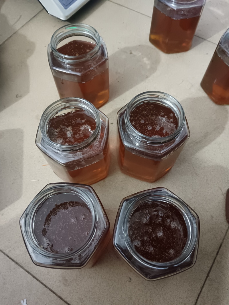 蜂蜜，龙眼蜜，荔枝蜜，冬糖冬蜜，保真，先验货，后付款