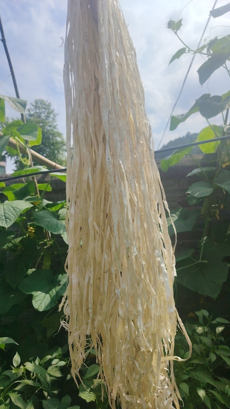 葛麻