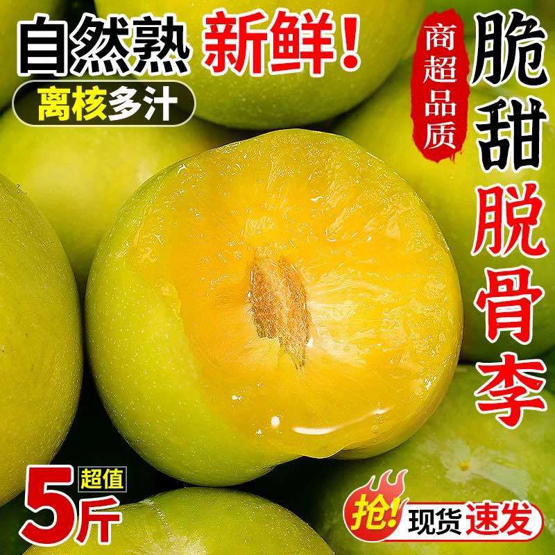 四川青脆李脱骨李土李子电商、商超团购一件代发批发