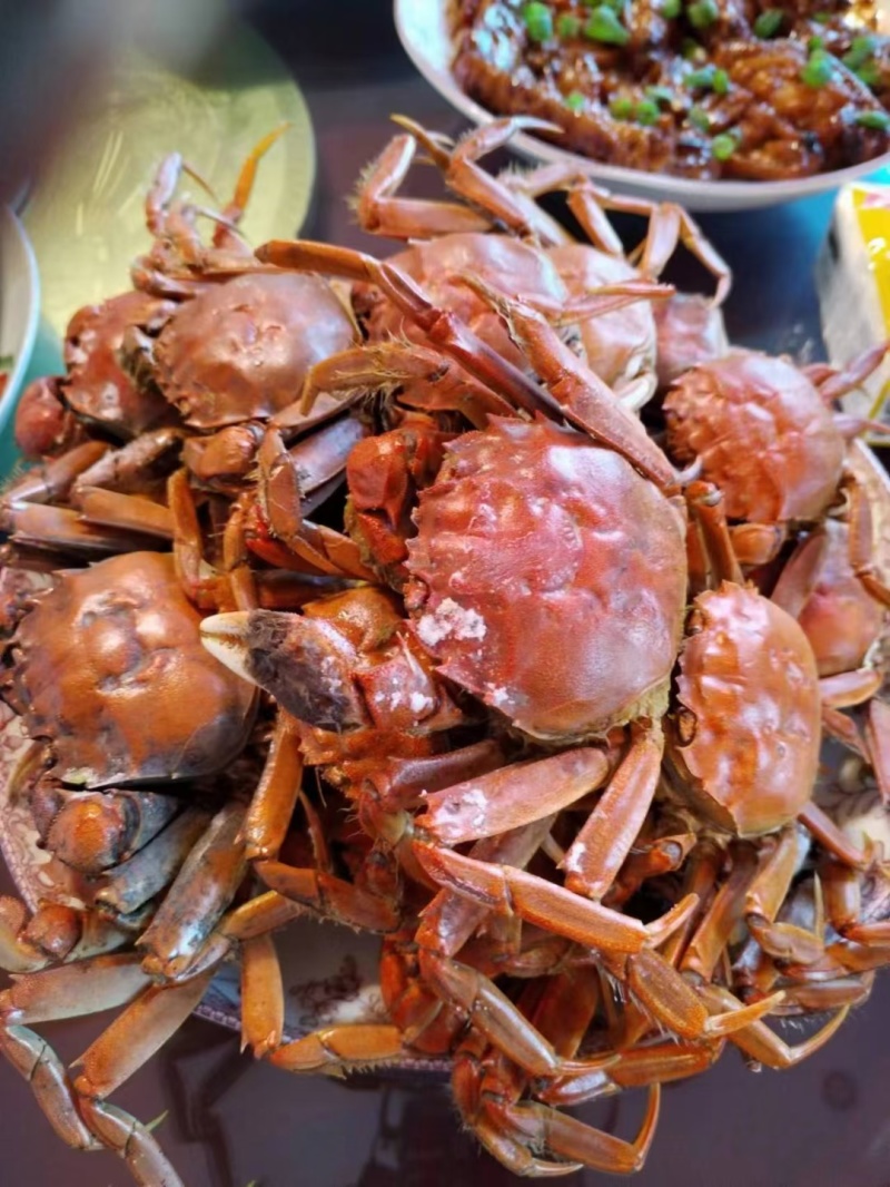 盘锦河蟹一手货源