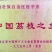 广西桂平市麻垌镇桂味荔枝，情人荔（中国红），仙进奉，禾荔