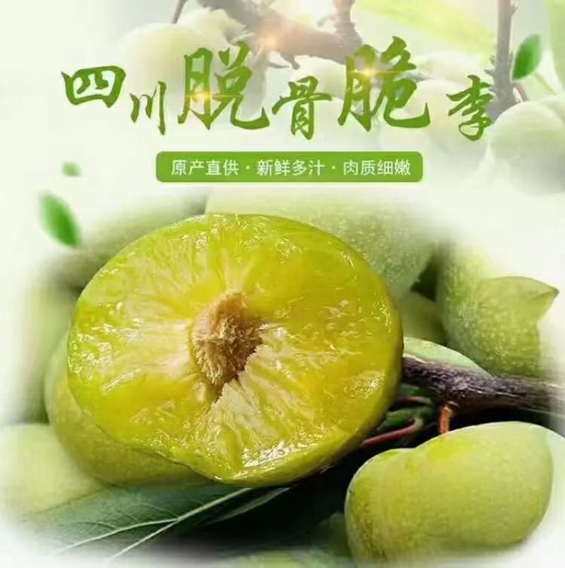 青脆李