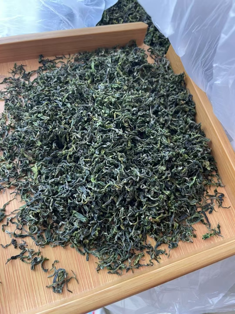 日照绿茶2025新茶