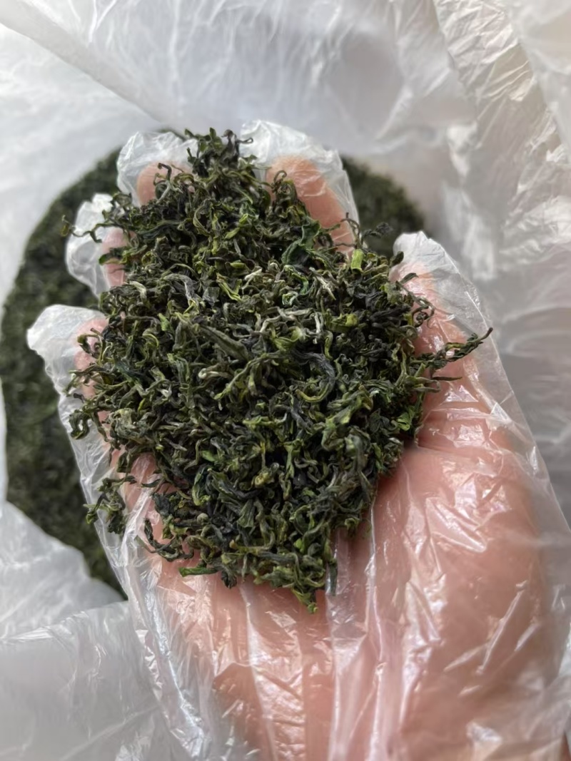日照绿茶2025新茶
