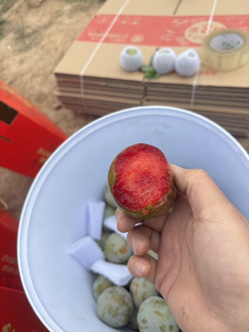 新疆恐龙蛋味帝李：李子界的贵族