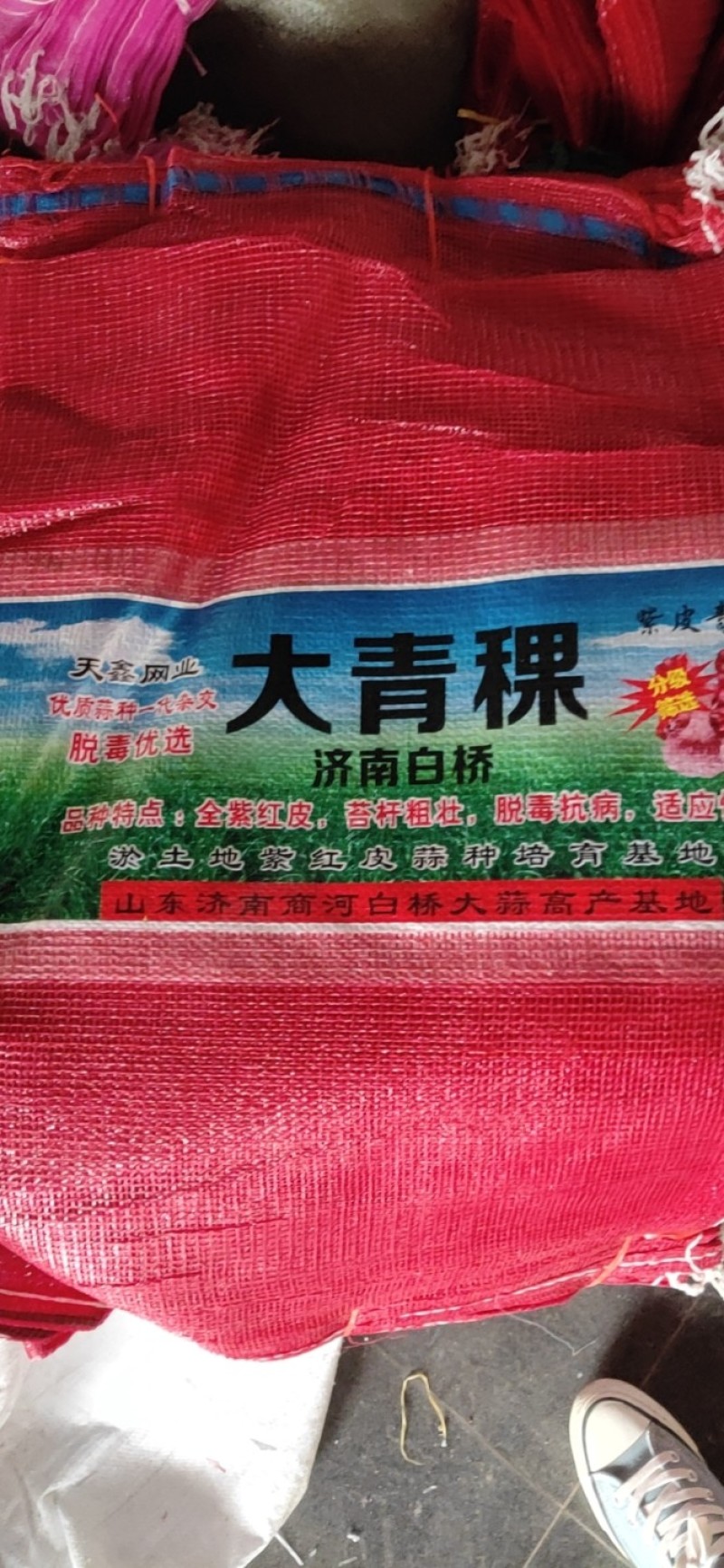 大蒜，太空二号，大青稞，蒜种批发