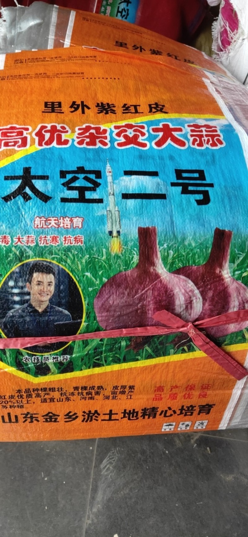 大蒜，太空二号，大青稞，蒜种批发
