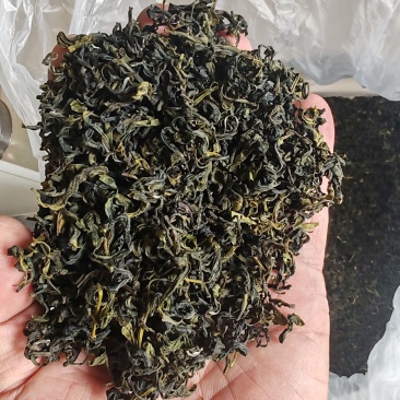 日照绿茶板栗香新茶2025