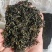 日照绿茶板栗香新茶2025