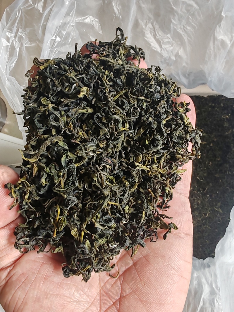 日照绿茶板栗香新茶2025