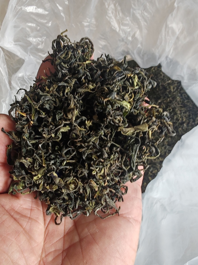 日照绿茶板栗香新茶2025