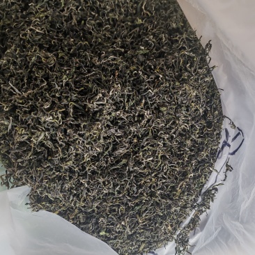 日照绿茶，