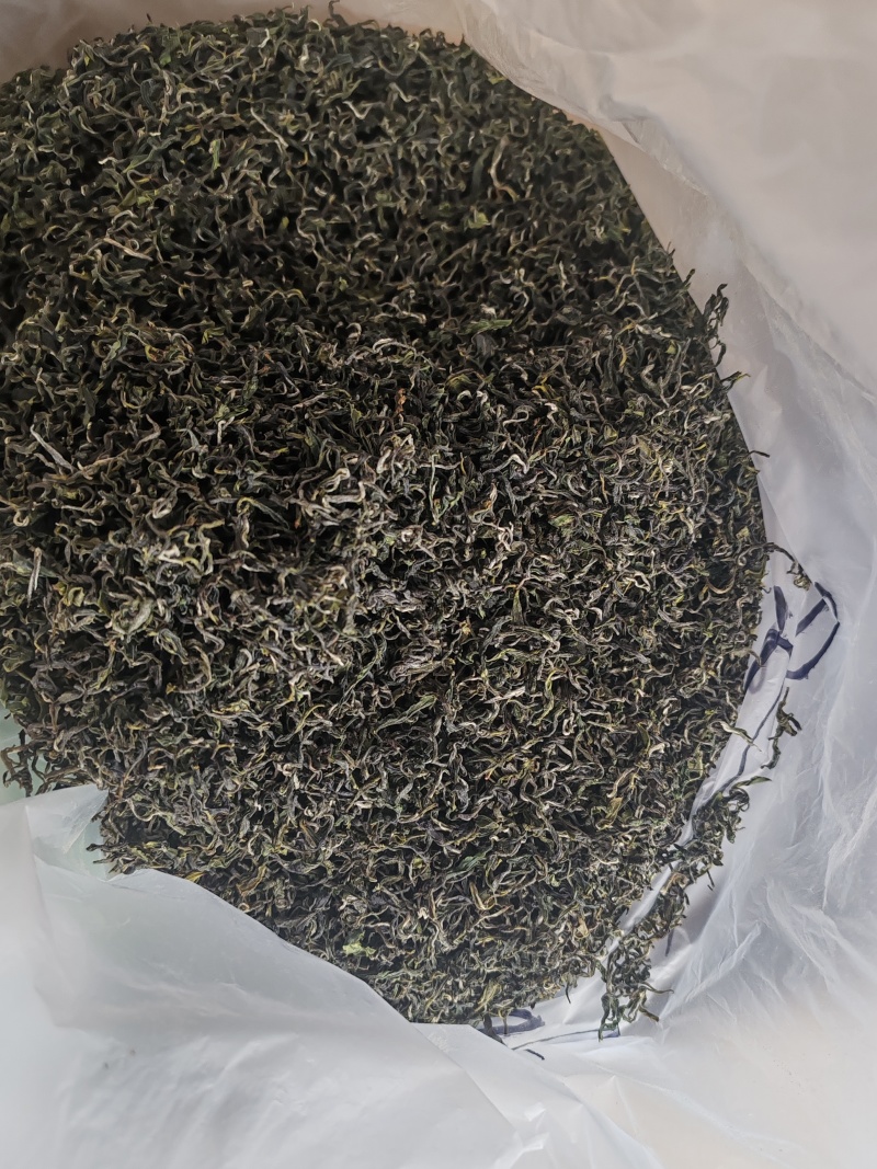 日照绿茶，