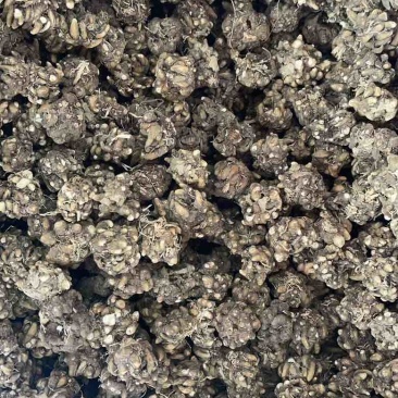 黄皮尖爪黑皮尖爪统货产地直发